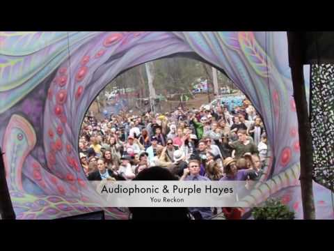 Audiophonic @ Australia June 2016 (Omega Festival)