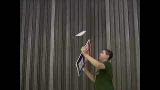 Make a Mama Bug Air-Surf Glider