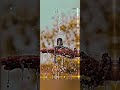 Shiv Ji New Status Video Mahadev New Status Bholenath Status Mahakaal Status Mahadev Shorts