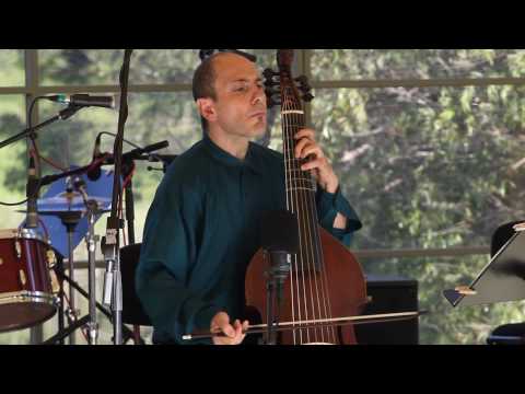 Paolo Pandolfo playing viola da gamba