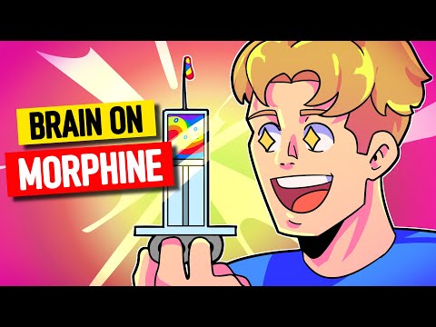 Your Brain On Morphine