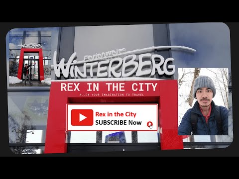 Dormitory in Germany | Rex in the City | Wohnung | Germany