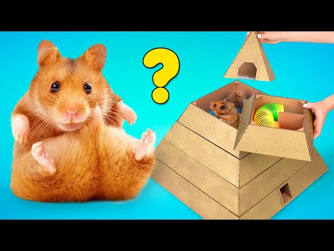 How To Make Awesome 6-Level Pyramid Maze For Your Hamster