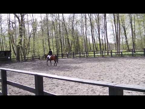 LA2_FDR_Nina_Bolettet_02052010.MP4