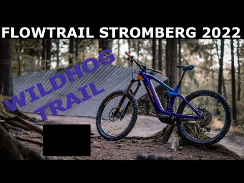 Flowtrail Stromberg - 2022 - Wildhog Trail - SCHWARZE Linie