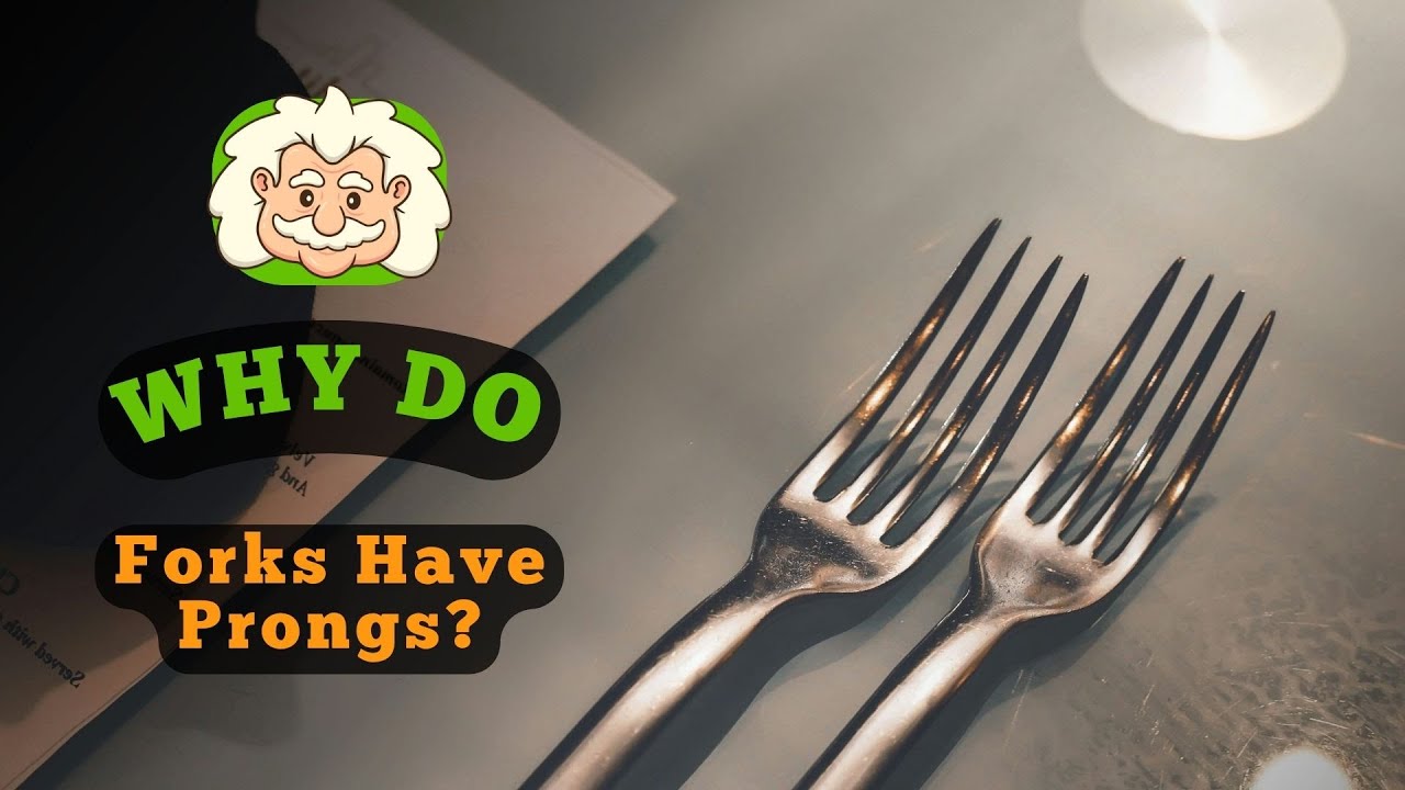 Why Do Forks Have Prongs? The Design and Function of a Dining Essential