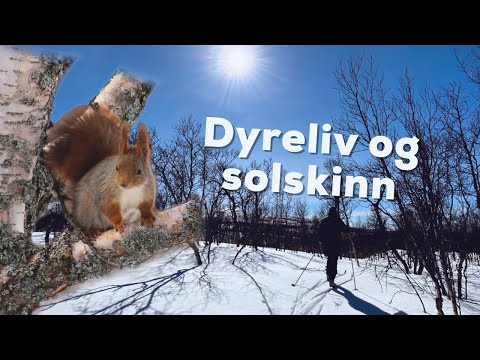 Påskeferien 2022 - Dyreliv og solskinn