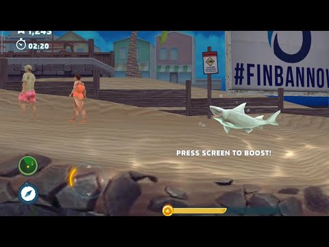 HEIDI WOBBEGONG NEW LIVE EVENT 2023 - Hungry Shark World