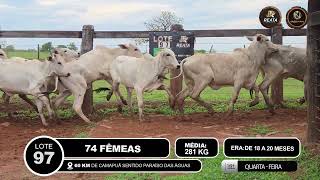 Vídeo LOTE 97