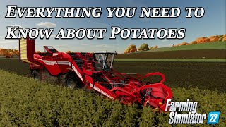 Everything you need to know about Potatoes in Farming Simulator 22