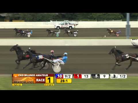 Meadowlands July 17, 2015 - Race 1 - Hallanet