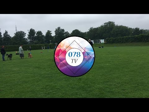 078tv - promo werkbezoek Hondenschool Fred Riet