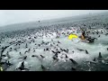 If These 12 Moments Were Not Filmed, Nobody Would Believe It