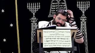 זבחים דף י"א ע''א ¤ הרב נתנאל אברז'ל ¤ בית הכנסת "בית מרדכי" (מוסדות תורת דוד) - התמונה מוצגת ישירות מתוך אתר האינטרנט יוטיוב. זכויות היוצרים בתמונה שייכות ליוצרה. קישור קרדיט למקור התוכן נמצא בתוך דף הסרטון