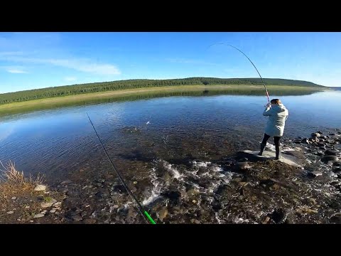 Рыбалка в КАЙФ! Трудовая. Север, Туруханский район