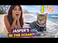 ALY and JASPER went to THE BEACH!