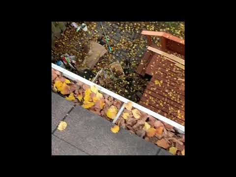 WindowGuru Inc. video.