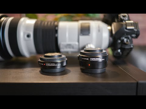Olympus / OM System 1,4x und 2x Telekonverter im Test - 1000mm Brennweite und mehr!
