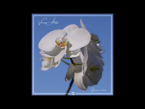 PREMIERE: Harmonious & Modulo - Before The Earth Breaks Out (Original Mix)