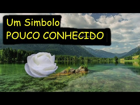 Vídeo: Rosa branca: significado e simbolismo mais comum