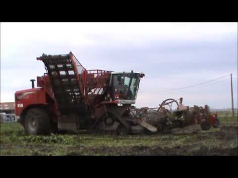 Loonw. Vereecke - Hooglede