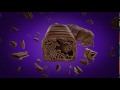 Cadbury Twirl