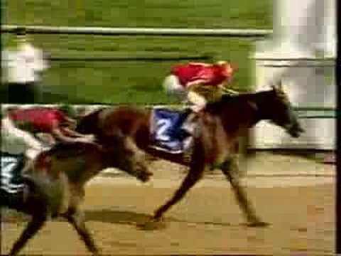 Almost  Triple Crown: 1997/1998 - Silver Charm/ Real Quiet