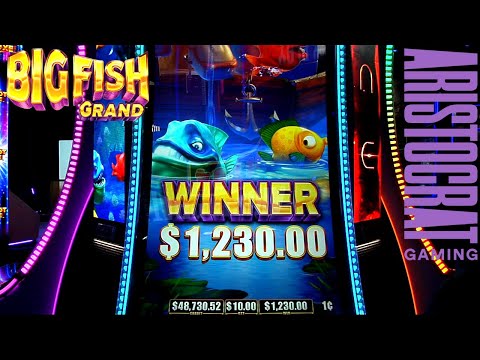 Big Fish Grand Slot Machine from Aristocrat - YouTube