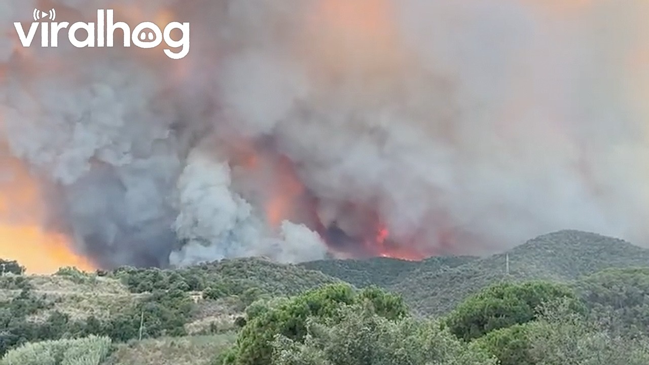 Wildfire in Les Gavarres, Spain || ViralHog