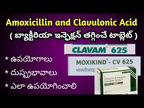 Amoxicillin and Clavulonic Acid Tablets|Clavam625|MoxikindCV uses in Telugu