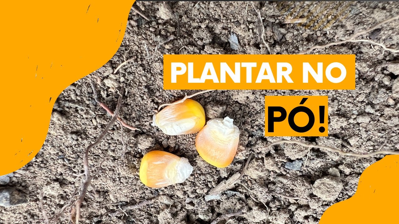 Agricultura por processos. Plantar no pó.