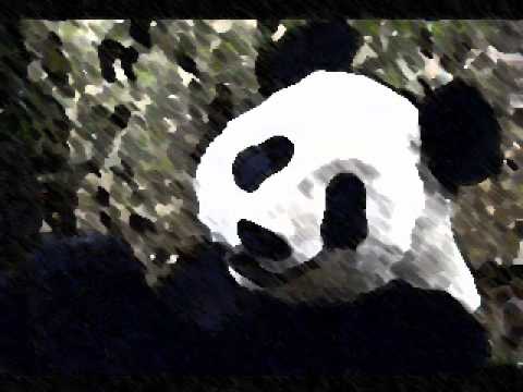 Pandadub Axion Esti Ondubground remix