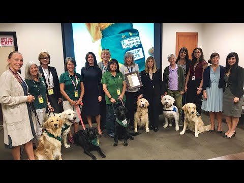 This is why Court Dogs are important!