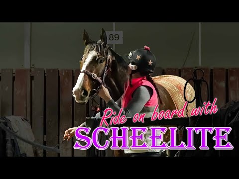 Ride on board with Daniel Stackhouse on board with Scheelite