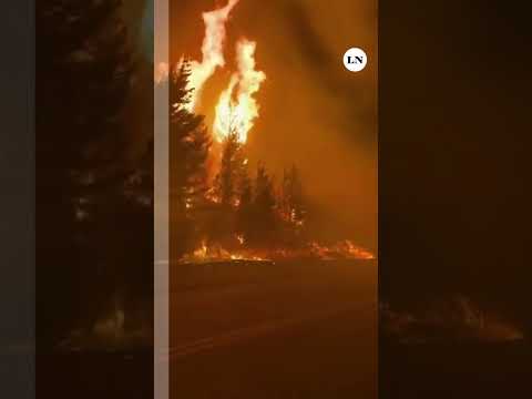 Incendios en Chubut: el fuego cruzó la ruta 40 y complica aún más el combate en El Hoyo y Epuyén