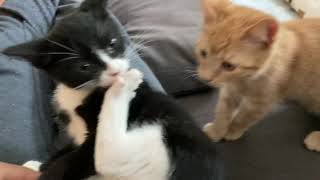 取り留めのないシーンの寄せ集めやけど・・・