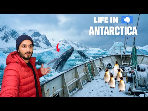 Inside Mainland Antarctica 🇦🇶 | Life in Frozen World  🐋🥶