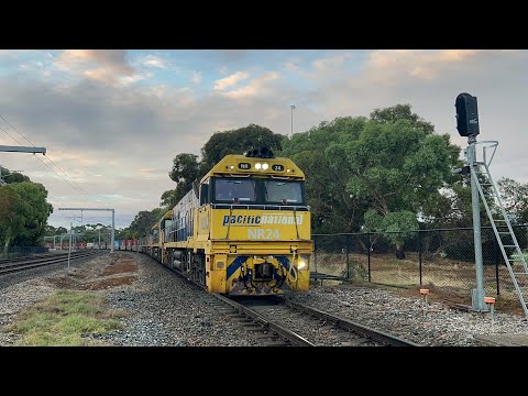 Pacific National Freight: 7MP5 with NR24, NR5, NR119 & NR90 at North Adelaide Railway Station 