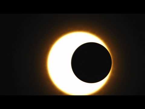 Fingers In The Noise - Echo System (Genoveva Vocal)