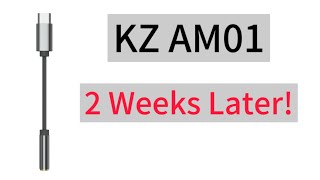 KZ AM01 DAC Review !!!