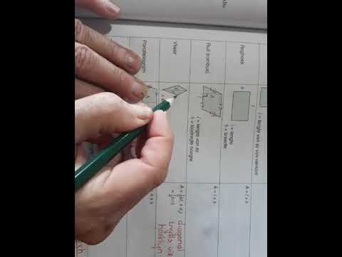 Wisk Gr 9 20 Mei 2020 -  Module 4 - Les 3 - Omtrek en Oppervlak