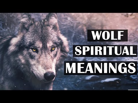 7 Spiritual Meaning of Wolf Spirit Animal | Wolf Spirit Animal Meanings & Symbolism
