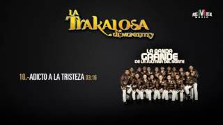 Adicto a la Tristeza - La Trakalosa de Monterrey (Audio Oficial)