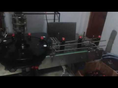 Automatic Twin Head Liquid Filling Machine