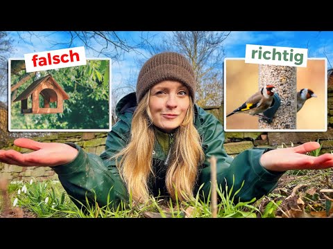 So wird dein Garten zum Vogelmagnet: 3 konkrete Tipps