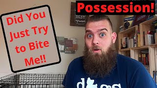 Possessive Aggression in Dogs - The PackSmith - How To Stop Your Little Dog From Being Aggressive