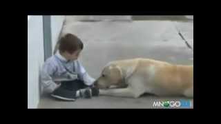 Куче и детенце болно от синдрома на Даун!