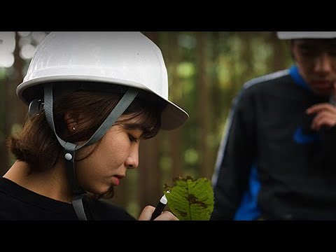 奥多摩演習林 紹介動画