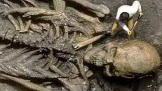 SCIENTISTS DISCOVER GIANT SKELETON - real or fake?