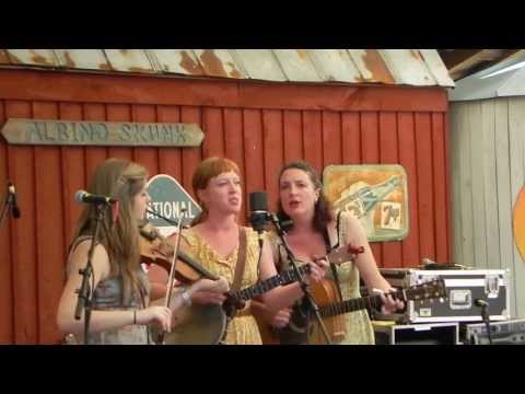 The Locust Honey Stringband at Spring Skunk 2013 -- #9 Sitting on Top of the World